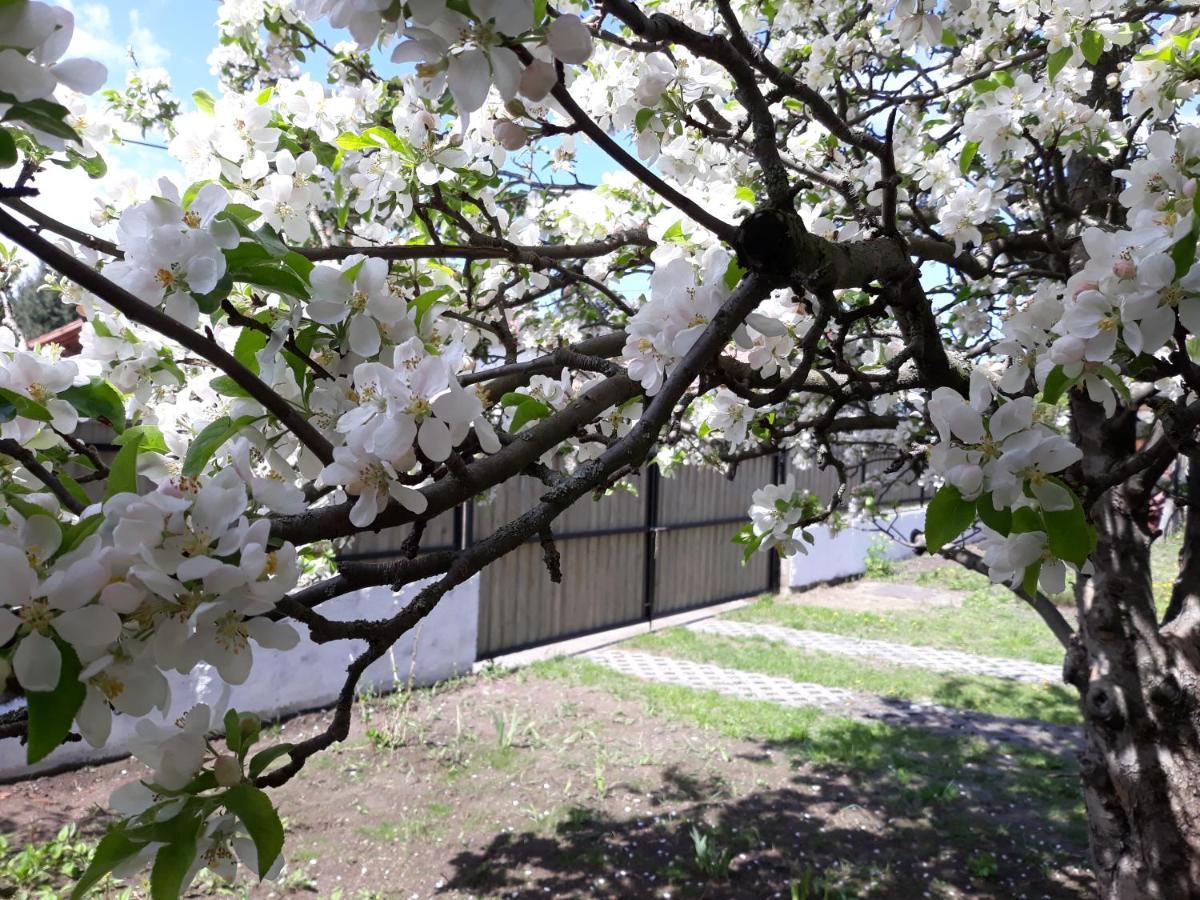 Szep Julis Vendeghaz Villa Cserepfalu Buitenkant foto